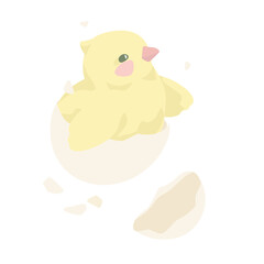 easter chicken with egg