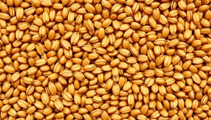 Fototapeta premium Golden Brown Grains of Unhulled Rice