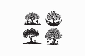 An Olive tree vector silhouette black and white image made by adobe illustrator..eps