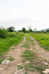 Dirt road in jungle to camping at Nakhon Nayok, Thailand