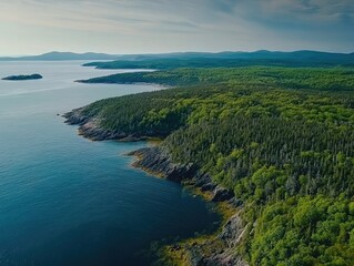 Aerial view of a rocky coastline with a dense evergreen forest and a blue ocean and a distant island
