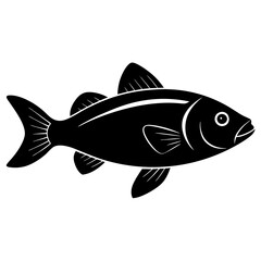 fish on a white background