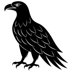 eagle isolated on white background