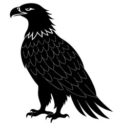 eagle isolated on white background