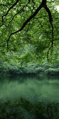 Fototapeta premium Tranquil reflection of nature serene lake landscape lush green environment bird's eye view beauty of wilderness