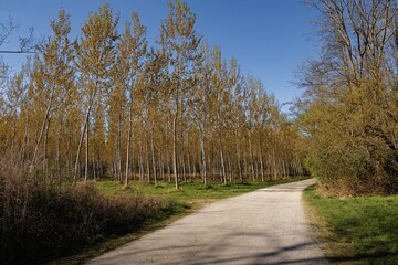 Walking in the park of Quassa, north Italy