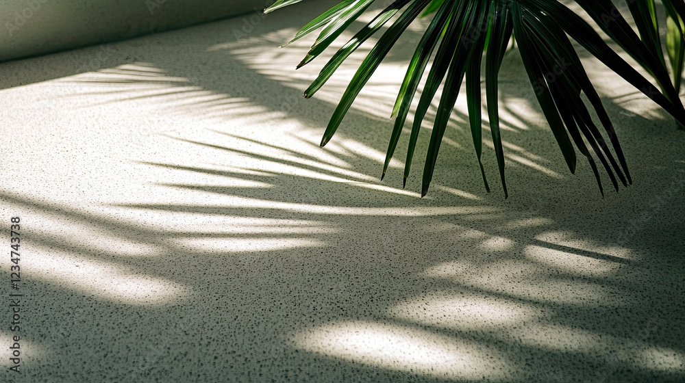 Poster elegant palm leaf shadows create a serene atmosphere on a minimalist white surface