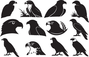 Obraz premium A variant style of falcon silhouette vector, flying, standing and head bird silhouette, flat birds icon illustration design, isolated on a white background.