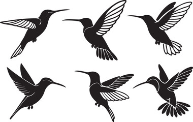 A variant style of hawk silhouette vector, flying bird silhouette, flat birds icon illustration design, isolated on a white background.