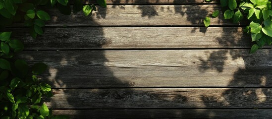 Fototapeta premium Wooden Plank Background with Green Leaves and Shadow Copy Space