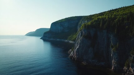 A stunning aerial view of the rugged coastline with cliffs and lush green forests