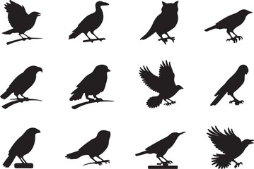 Vector illustration of bird silhouette icon set, isolated on a white background.