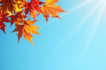 Autumn leaves against a vibrant blue sky, bathed in sunlight, creating a tranquil and serene scene.