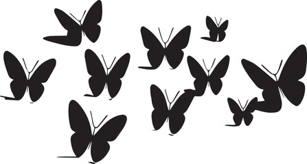 Fototapeta premium butterfly vector