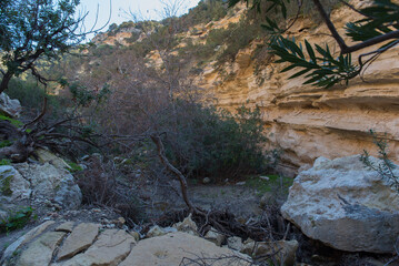 The narrow and rocky Avakas Gorge in Cyprus features towering cliffs and a small stream reflecting sunlight. A breathtaking natural landscape in a remote, rugged area.