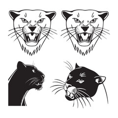 Obraz premium Panther animal head 