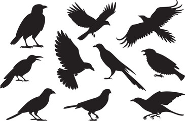 A variant style of bird silhouette vector, flying birds silhouette, flat bird icon illustration design, isolated on a white background.