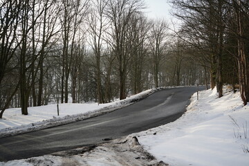 Obraz premium Snowy winding road through a tranquil winter forest in early morning light