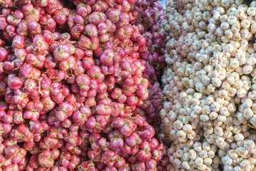 Fresh Red Shallots and White Garlic Piles