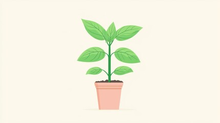 Tiny basil plant with blushing leaves, kitchen herb happiness, minimalist