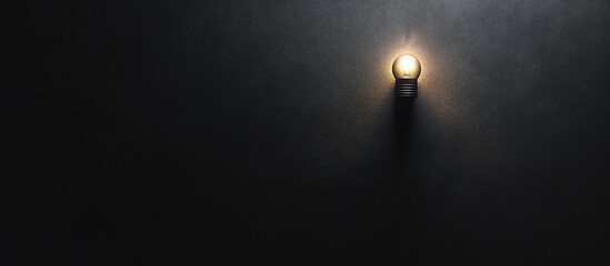 Fototapeta premium Illuminating Idea: A Single Light Bulb in the Darkness