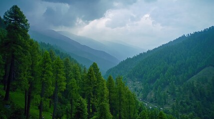 Obraz premium Lush green mountain range with dense forest and a cloudy sky creating a serene landscape