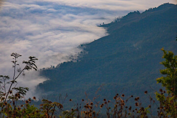 The stunning view from a tourist's standpoint as they go down a hill on a foggy trail with a hill and a background of a golden sky in Forest Park, Thailand. Rainforest. Bird's eye view. Aerial view.