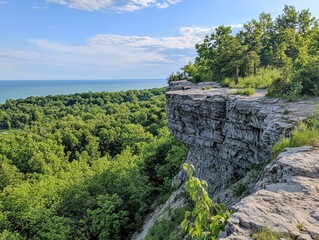 Scenic view of a rocky cliff overlooking a dense green forest and a serene ocean under a bright blue sky
