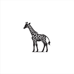 Fototapeta premium Black silhouette giraffe vector