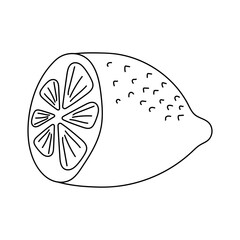 Hand-drawn Fruit Clipart: Kawaii Fruit Clipart: Outline Fruit Doodle Clipart