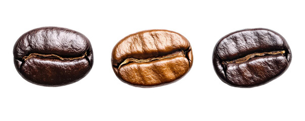 Obraz premium Rich coffee beans in various shades, showcasing their unique textures and colors