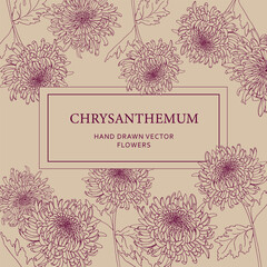 Elegant chrysanthemum floral pattern with hand-drawn vector flowers in burgundy on a beige background. Ideal for product labels, packaging, invitations, branding, stationery, and decorative designs