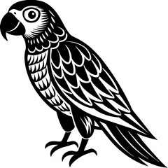 black and yellow macaw