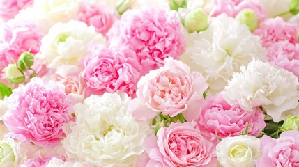 Obraz premium Beautiful pink and white flower arrangement floral studio nature photography bright environment aesthetic view serenity concept