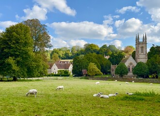 Timeless English village scene with historic church and sheep grazing in a meadow.  