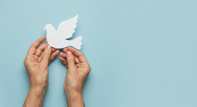 Gentle hands hold paper dove of peace.