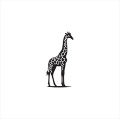 Black silhouette giraffe vector