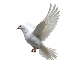Fototapeta premium A free flying white dove isolated on transparent background - Generative AI