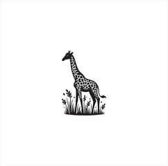 Fototapeta premium Black silhouette giraffe vector