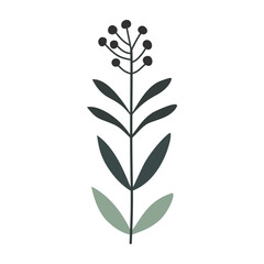 Branch with leaves and berries, isolated, vector illustration, design