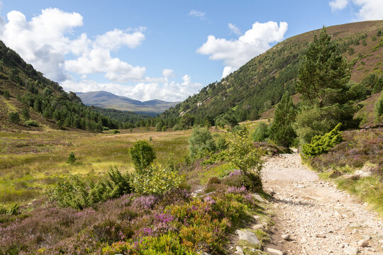 Parc national des cairngorms
