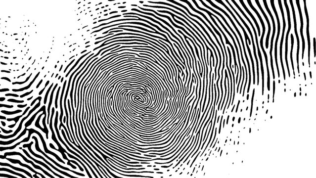 Fingerprint on a white background. Seamless pattern with black and white fingerprint on isolated background, vector illustration, high resolution photography, 