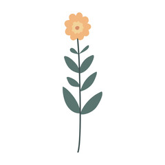 Cute flower,cartoon, isolated, vector illustration, graphic design, flat