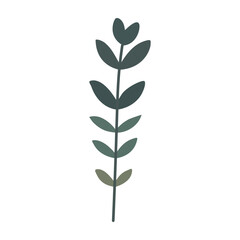 Plant leaf, branch. Icon, vector illustration, graphic design, flat style
