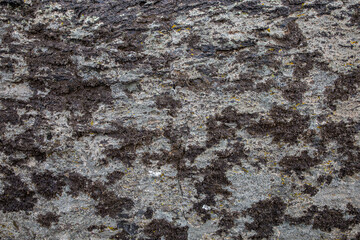 volcanic background or texture