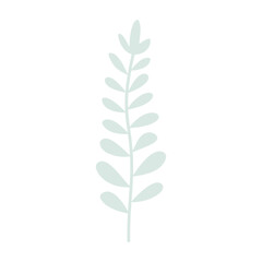 Plant leaf, branch. Icon, vector illustration, graphic design, flat style