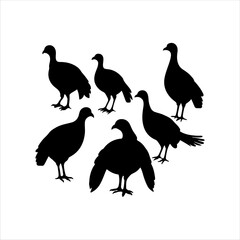 Group of wild turkey silhouette vector illustration design on white background.