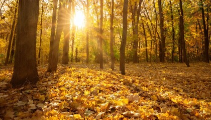 A golden autumn forest with fallen leaves covering the ground, bathed in warm sunlight filtering through the trees.