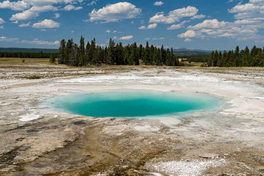 Echinus Geyser, hot spring in the Back Basin, part of the Norris Geyser Basin in Yellowstone National Park