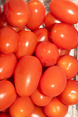 Close Up of Baby Plum Red Tomatos